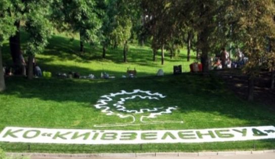 Чиновники «Киевзеленбуда» провернули аферу на 30 миллионов