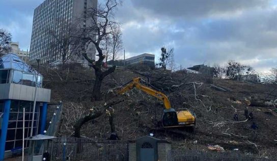 Семейка мошенника Григория Габовича построит небоскреб на Черепановой горе