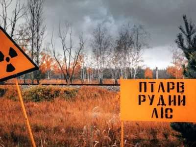 Чорнобильський ліс хочуть «розпиляти»: у держлісгоспі орудують нові керівники з кримінальним минулим?
