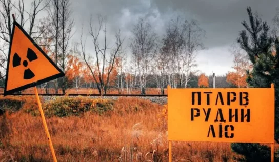 Чорнобильський ліс хочуть «розпиляти»: у держлісгоспі орудують нові керівники з кримінальним минулим?