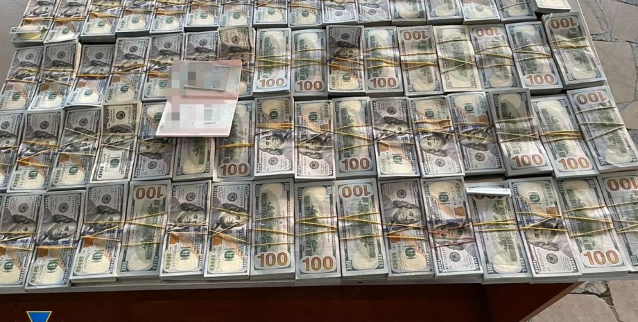 37 млн готівкою у валізах: в Україну намагалися ввезти крадені гроші