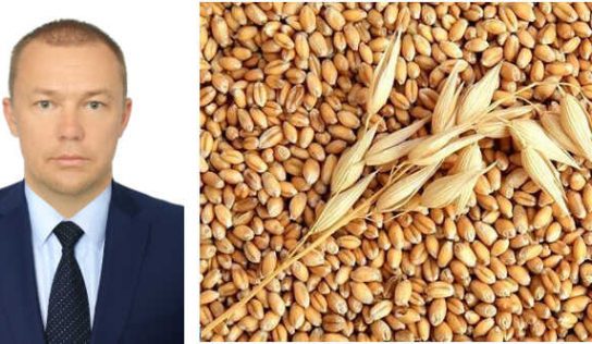 Как депутат от ОПЗЖ Олег Афанасьев ждал Россию, чтобы украсть украинское зерно