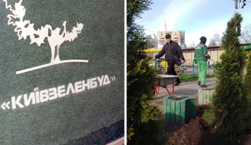 Киевляне требуют ликвидации «Киевзеленстроя» из-за экологических нарушений и коррупционных скандалов