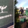 Кияни вимагають ліквідації "Київзеленбуду" через екологічні порушення та корупційні скандали