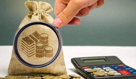 Податкові «скрутки» на Полтавщині: як аграрний клан Калініченків роками обкрадає державу