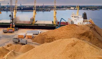 Зерновая афера на миллионы: как житомирских аграриев обманули на схеме «экспорт под ключ»