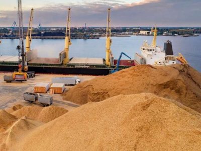 Зерновая афера на миллионы: как житомирских аграриев обманули на схеме «экспорт под ключ»