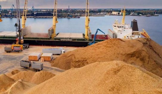 Зерновая афера на миллионы: как житомирских аграриев обманули на схеме «экспорт под ключ»