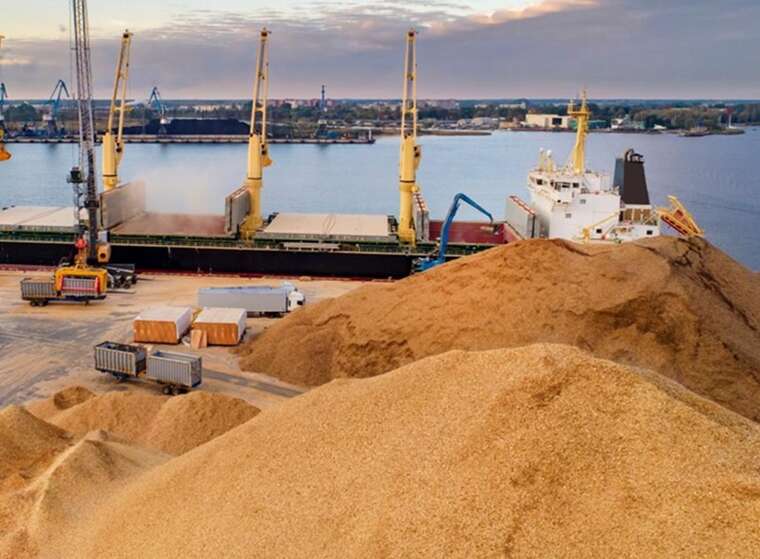 Зернова афера на мільйони: як житомирських аграріїв кинули на схемі «експорт під ключ»