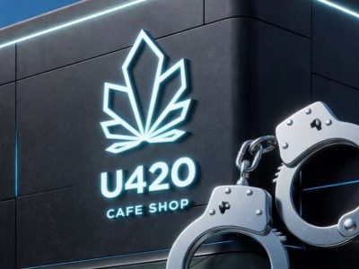 Юристи, політики і «кайф»: як працює мережа U420