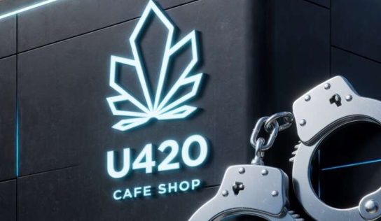 Юристи, політики і «кайф»: як працює мережа U420